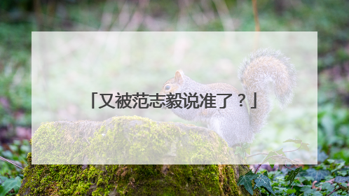 又被范志毅说准了？