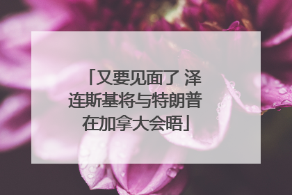 又要见面了 泽连斯基将与特朗普在加拿大会晤