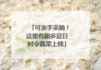 可亲手采摘！这里有超多夏日时令蔬菜上线