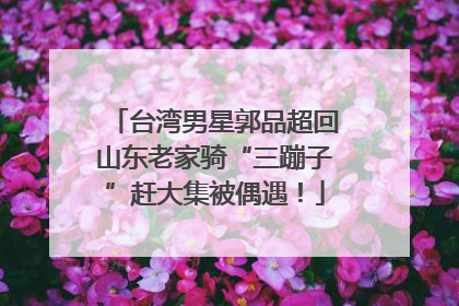 台湾男星郭品超回山东老家骑“三蹦子”赶大集被偶遇！