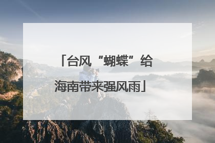 台风“蝴蝶”给海南带来强风雨