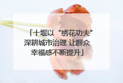 十堰以“绣花功夫”深耕城市治理 让群众幸福感不断提升