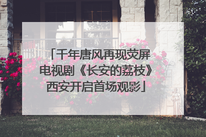 千年唐风再现荧屏 电视剧《长安的荔枝》西安开启首场观影