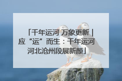 千年运河 万象更新｜应“运”而生：千年运河河北沧州段展新颜