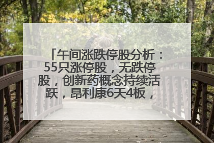 午间涨跌停股分析:55只涨停股,无跌停股,创新药概念持续活跃,昂利康6天4板,众生药业2连板