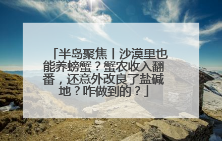 半岛聚焦丨沙漠里也能养螃蟹？蟹农收入翻番，还意外改良了盐碱地？咋做到的？