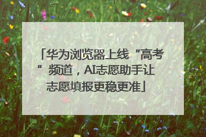 华为浏览器上线“高考”频道，AI志愿助手让志愿填报更稳更准