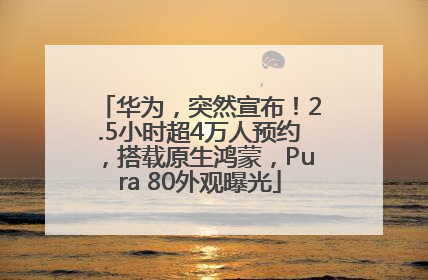 华为，突然宣布！2.5小时超4万人预约，搭载原生鸿蒙，Pura 80外观曝光