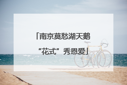 南京莫愁湖天鹅“花式”秀恩爱