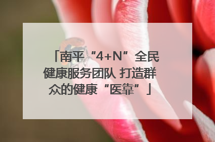 南平“4+N”全民健康服务团队 打造群众的健康“医靠”