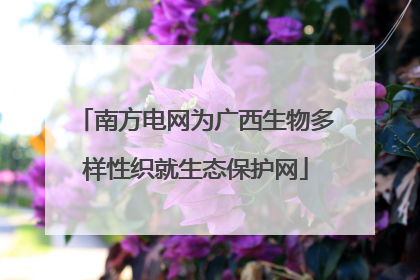南方电网为广西生物多样性织就生态保护网