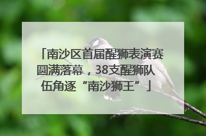 南沙区首届醒狮表演赛圆满落幕，38支醒狮队伍角逐“南沙狮王”