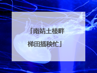 南靖土楼畔 梯田插秧忙