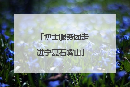 博士服务团走进宁夏石嘴山