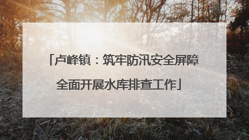 卢峰镇：筑牢防汛安全屏障 全面开展水库排查工作