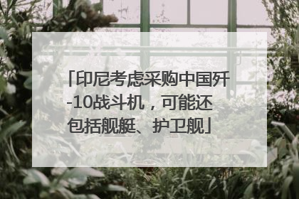 印尼考虑采购中国歼-10战斗机，可能还包括舰艇、护卫舰