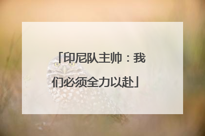 印尼队主帅：我们必须全力以赴