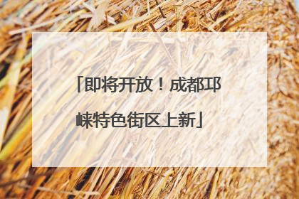 即将开放！成都邛崃特色街区上新