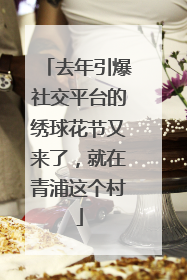 去年引爆社交平台的绣球花节又来了，就在青浦这个村