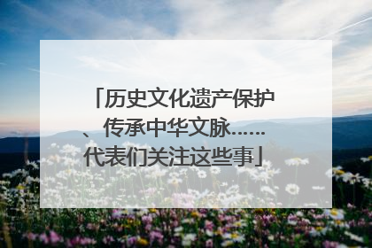 历史文化遗产保护、传承中华文脉……代表们关注这些事