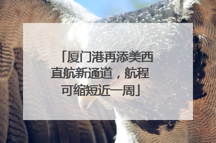 厦门港再添美西直航新通道，航程可缩短近一周