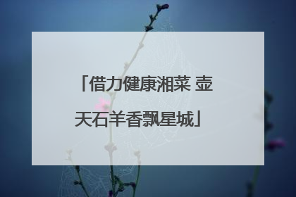借力健康湘菜 壶天石羊香飘星城