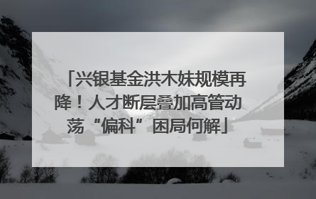 兴银基金洪木妹规模再降！人才断层叠加高管动荡“偏科”困局何解