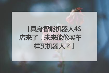 具身智能机器人4S店来了，未来能像买车一样买机器人？