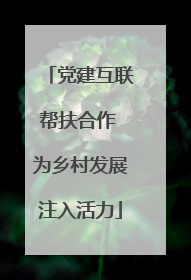 党建互联帮扶合作 为乡村发展注入活力