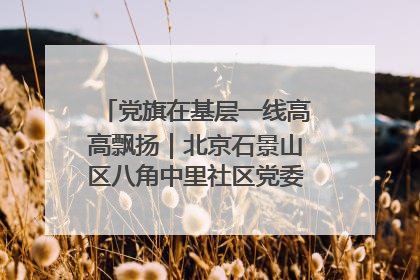 党旗在基层一线高高飘扬｜北京石景山区八角中里社区党委：用脚步丈量民生