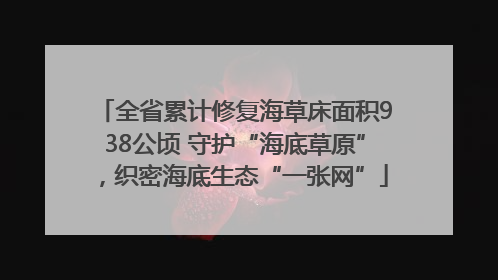 全省累计修复海草床面积938公顷 守护“海底草原”，织密海底生态“一张网”
