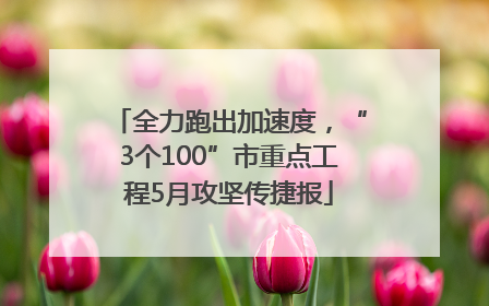 全力跑出加速度，“3个100”市重点工程5月攻坚传捷报