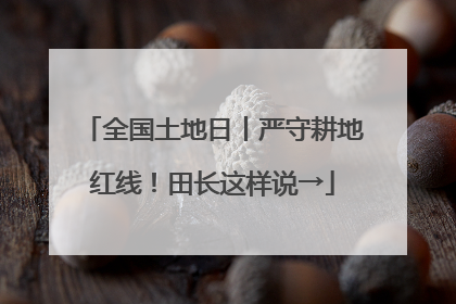 全国土地日丨严守耕地红线！田长这样说→