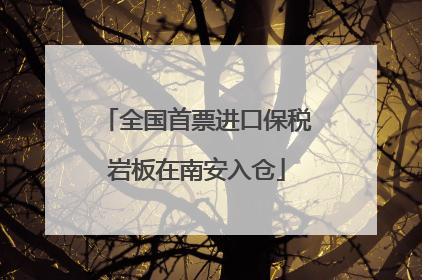 全国首票进口保税岩板在南安入仓