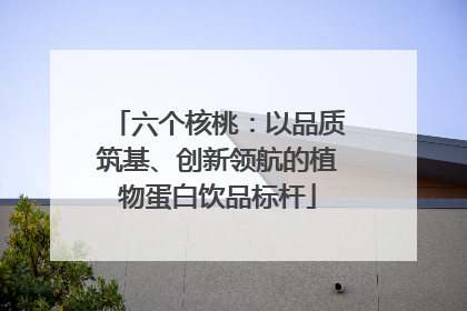 六个核桃：以品质筑基、创新领航的植物蛋白饮品标杆