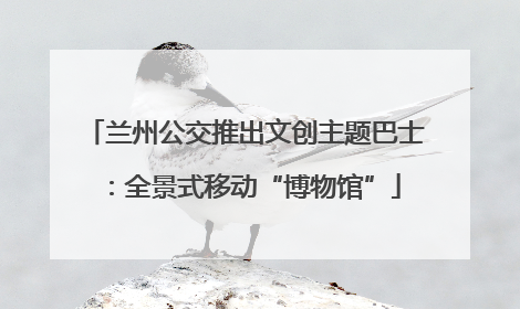 兰州公交推出文创主题巴士：全景式移动“博物馆”