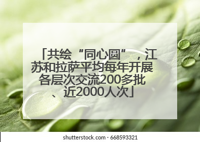 共绘“同心圆”，江苏和拉萨平均每年开展各层次交流200多批、近2000人次