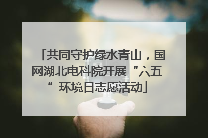 共同守护绿水青山，国网湖北电科院开展“六五”环境日志愿活动