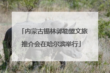 内蒙古锡林郭勒盟文旅推介会在哈尔滨举行