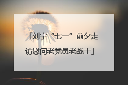 刘宁“七一”前夕走访慰问老党员老战士
