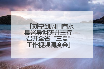 刘宁到周口商水县督导调研并主持召开全省“三夏”工作视频调度会