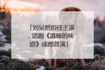 刘昊然担任主演，话剧《温暖的味道》成都首演