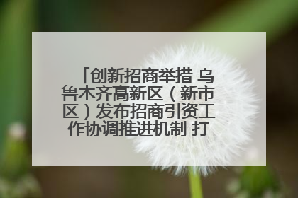 创新招商举措 乌鲁木齐高新区（新市区）发布招商引资工作协调推进机制 打造投资发展新高地