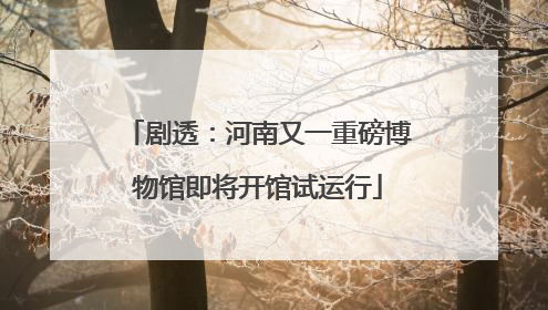 剧透：河南又一重磅博物馆即将开馆试运行