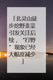 北灵山徒步挖野韭菜引发关注后续，“打野”现象已经大幅度减少