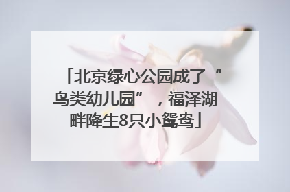 北京绿心公园成了“鸟类幼儿园”，福泽湖畔降生8只小鸳鸯