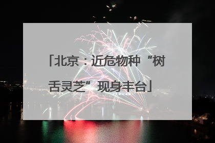 北京：近危物种“树舌灵芝”现身丰台