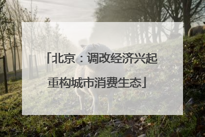 北京：调改经济兴起 重构城市消费生态