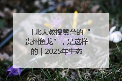 北大教授赞誉的“贵州鱼龙”，是这样的｜2025年生态文明贵阳国际论坛