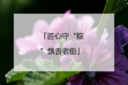 匠心守“粽”飘香老街